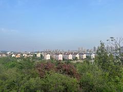 -府君山公园