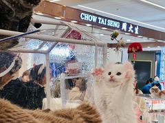 -凯德MALL(望京店)