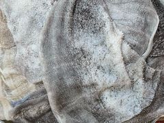 -铜元老码头鳝鱼火锅