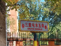 -三里屯东五街银杏大道