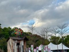 -云栖山谷野奢营地