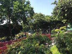 -天河儿童公园