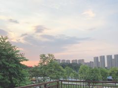 -天河儿童公园