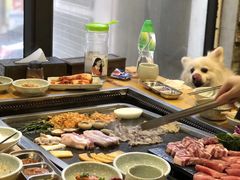 -金顺韩式烤肉·网红烤肉店(广利路店)