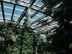 -昆明植物园