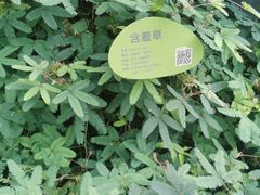 -云溪植物园