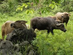 -Club Med地中海俱乐部·桂林度假村
