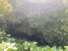 -海口火山口国家地质公园
