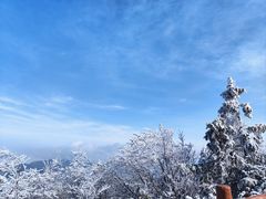 -武陵山森林公园