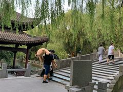 -小狗面馆(复兴店)