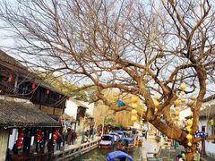 -周庄古镇景区-双桥