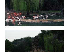 -宁波野生动物园