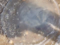 -辽宁团山国家级海洋公园