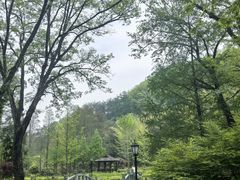 -素山寺森林公园