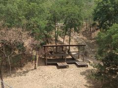 -石家庄市动物园