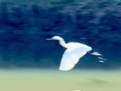 -江南大学(蠡湖校区)