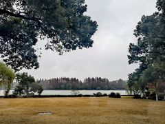 -浙江西子宾馆·牡丹厅