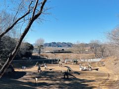 -北京张裕爱斐堡酒庄