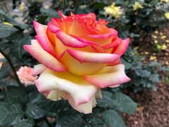 -人民公园(罗湖区)