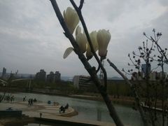 -雁滩公园