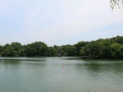 -紫霞湖公园