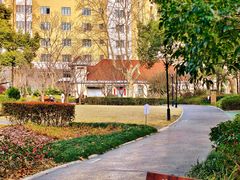 -徐家汇源景区-衡山公园