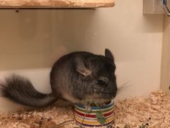 -龙猫仔乐园(惠福东路店)