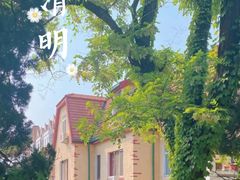 -八大关景区