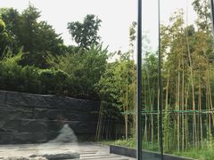 -外滩悦榕庄·海怡西餐厅