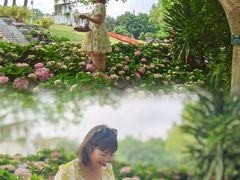 -广西壮族自治区药用植物园