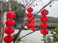 -听风阁农家私房菜茶楼(龙坞店)