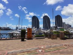 -小猫钓鱼海钓俱乐部(椰梦长廊店)