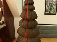 -七彩云南茶(七彩云南第壹城店)