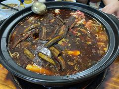 -金海椒罐罐鲢鱼(东方桂苑店)