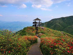 -大围山国家森林公园
