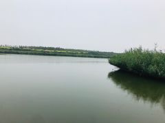 -西青郊野公园