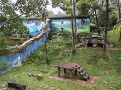 -中国大熊猫保护研究中心雅安碧峰峡基地