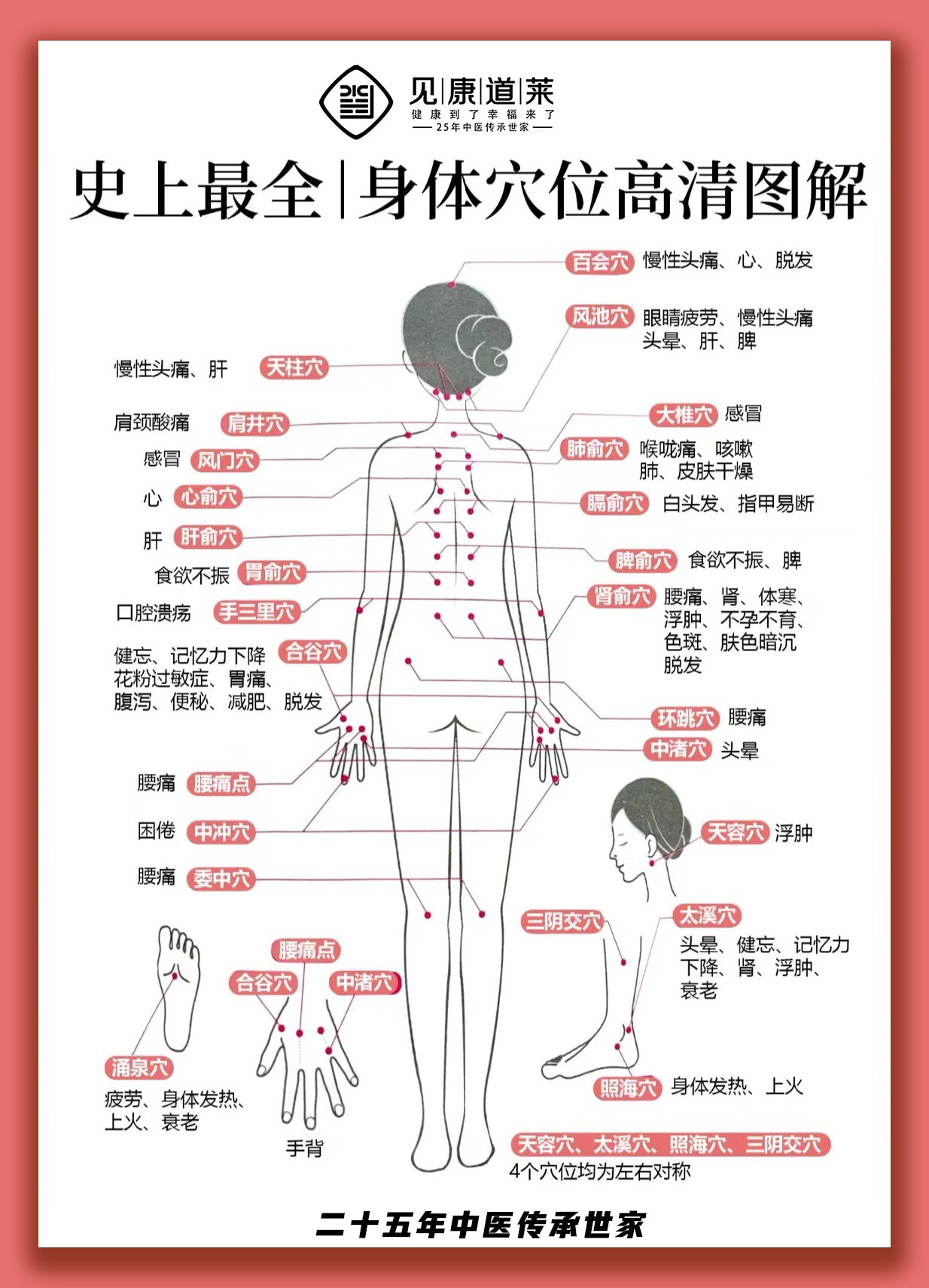 中医养生秘籍