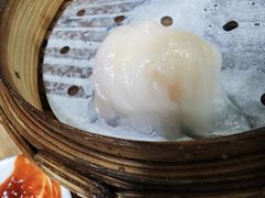 晶莹鲜虾饺-添好运点心专门店(中环IFC店)