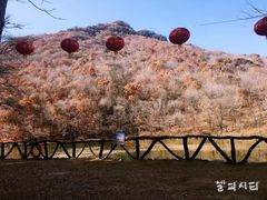-龙道沟景区