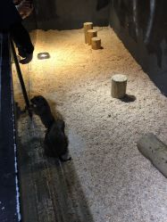 -酷嗒动物文化乐园(cutezoo西溪乐天城店)