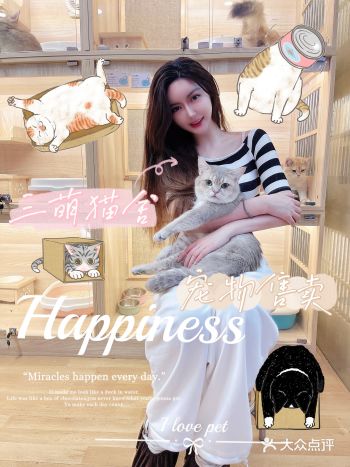 北京探店｜超萌的猫主子买买买总有一只会走到你心里