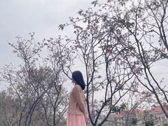 -小南山公园