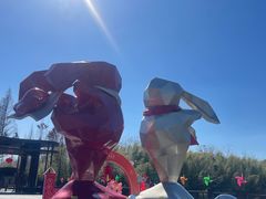 -黄海国家森林公园