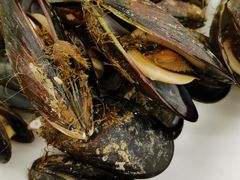 -渔中舟海鲜大排档(普陀沈家门店)