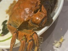 -一绪に寿喜烧自助(世茂广场店)