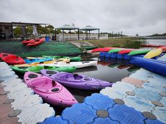 -春花秋色城市公园