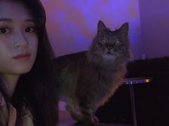 -极木²邸 人与宠物·互动社区