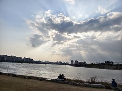 -九龙湖公园