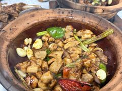 -天宝食坊·啫啫煲大排档(西华路店)